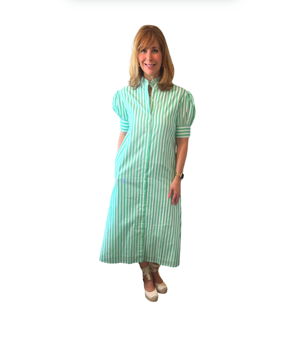 Baker Striped Ladies Dress
