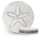 Starfish Drink Coaster